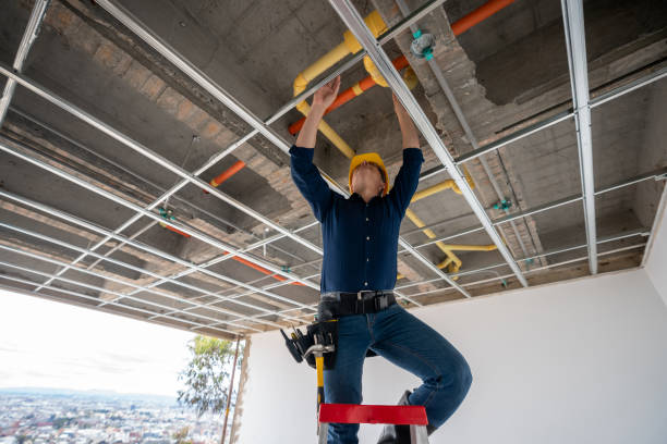 Best Commercial Plumbing Services  in Belleview, FL