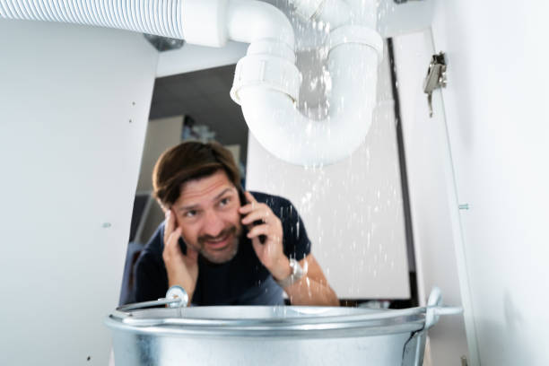 Best Pipe Repair Near Me  in Belleview, FL